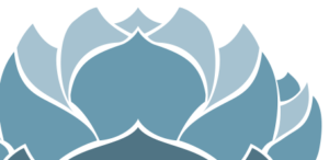 Flor de loto azul