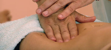 Especialización en Ayurveda - 100h Especialización en Ayurveda - 100h