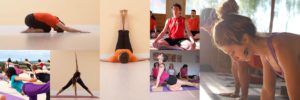 Collage Profesores de Yoga