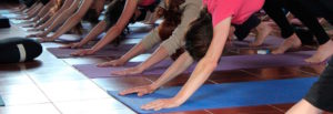 Master de Yoga - Formación Presencial